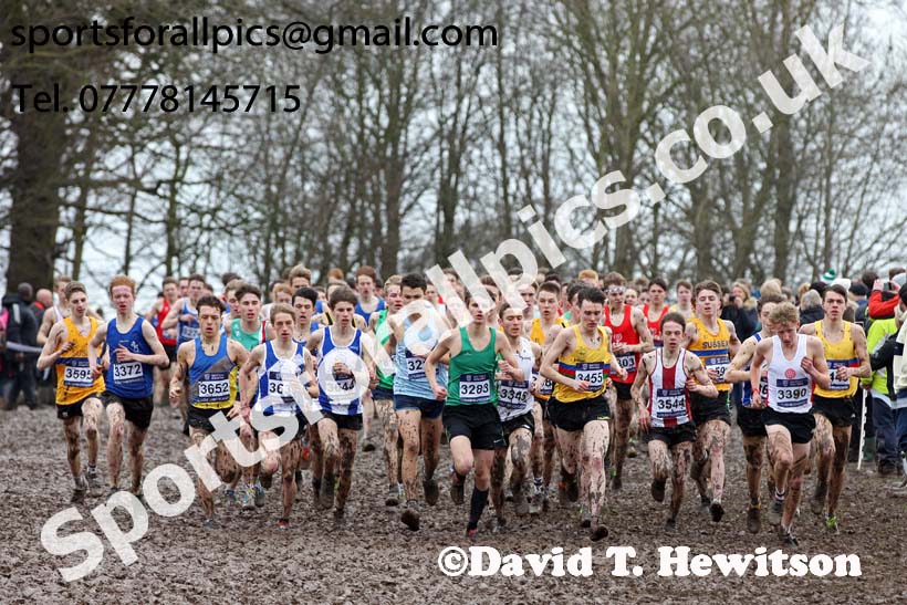 Mens under-17s 2018 British Inter Counties Cross Country Champs., Prestwold Hall, Loughborough. Photo: David T. Hewitson/Sports for All Pics